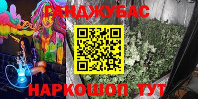 мдпв Будённовск