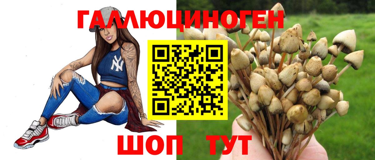 Псилоцибиновые грибы Psilocybine cubensis Рубцовск